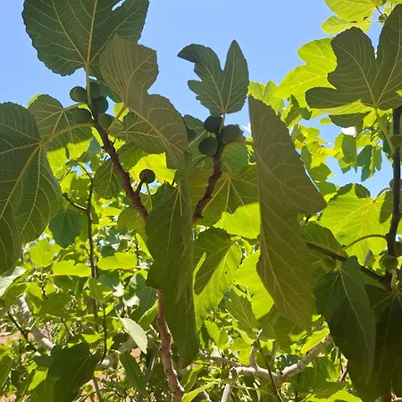 Serracca Apartmán Gagliano del Capo