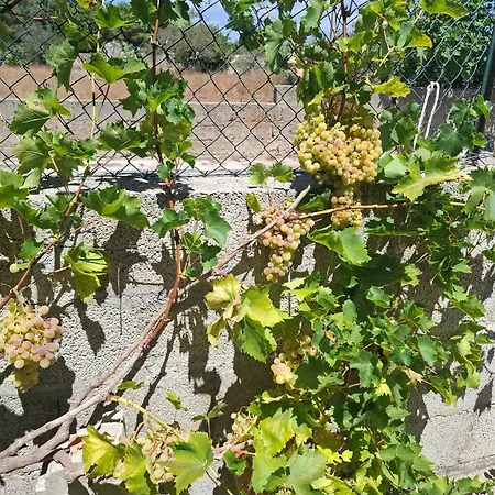 Serracca