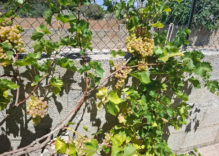 Serracca